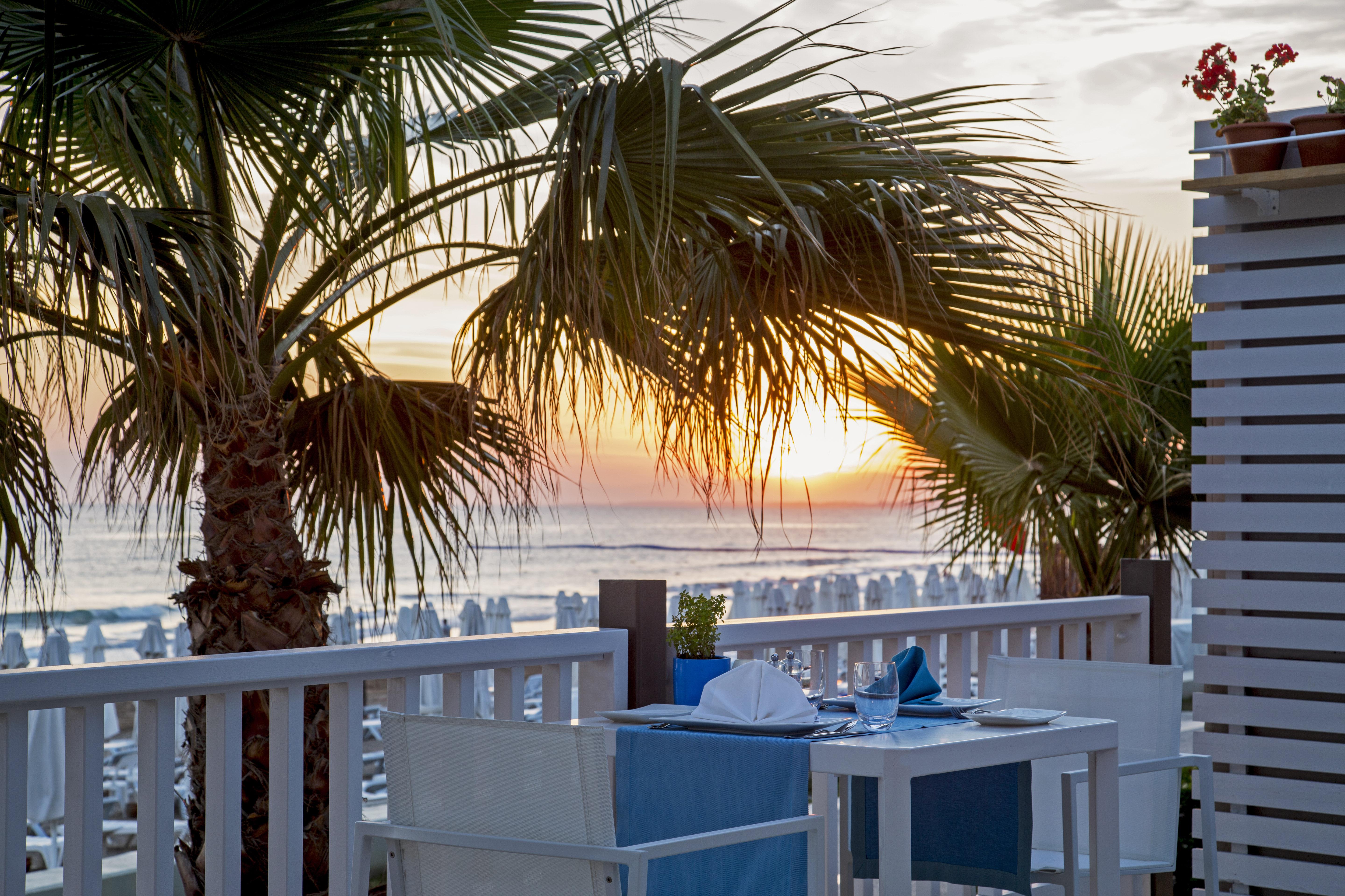 Acanthus Cennet Barut Collection Side